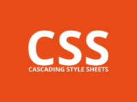 : not selector CSS